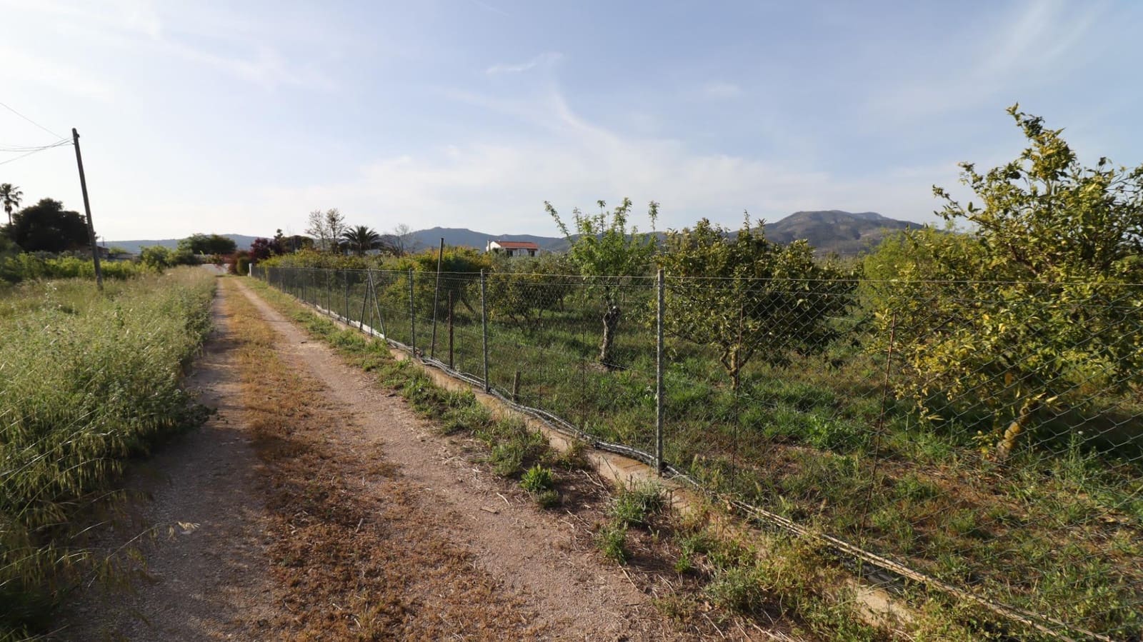 3 camera da letto Finca/Casa di Campagna in vendita in Les Cases d'Alcanar con piscina - 365.000 € (Rif: 9806478)