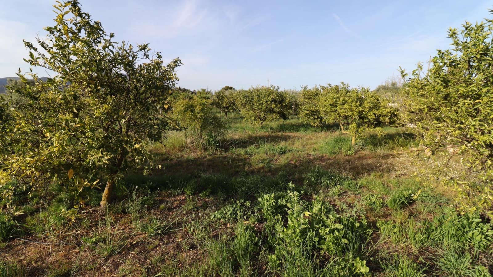 3 camera da letto Finca/Casa di Campagna in vendita in Les Cases d'Alcanar con piscina - 365.000 € (Rif: 9806478)