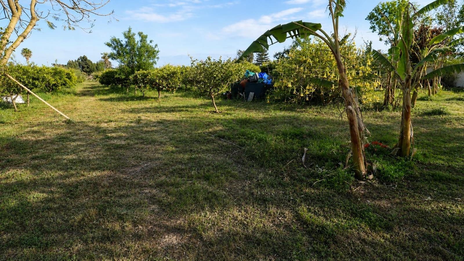 3 bedroom Finca/Country House for sale in Les Cases d'Alcanar with pool - € 365,000 (Ref: 9806478)