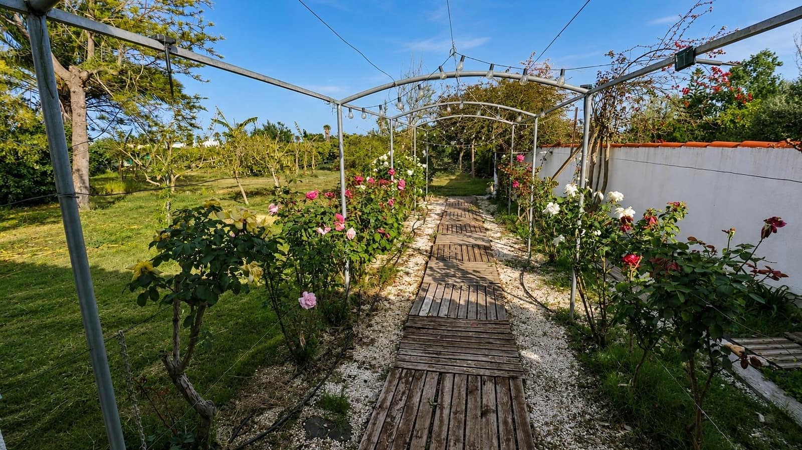 3 bedroom Finca/Country House for sale in Les Cases d'Alcanar with pool - € 365,000 (Ref: 9806478)