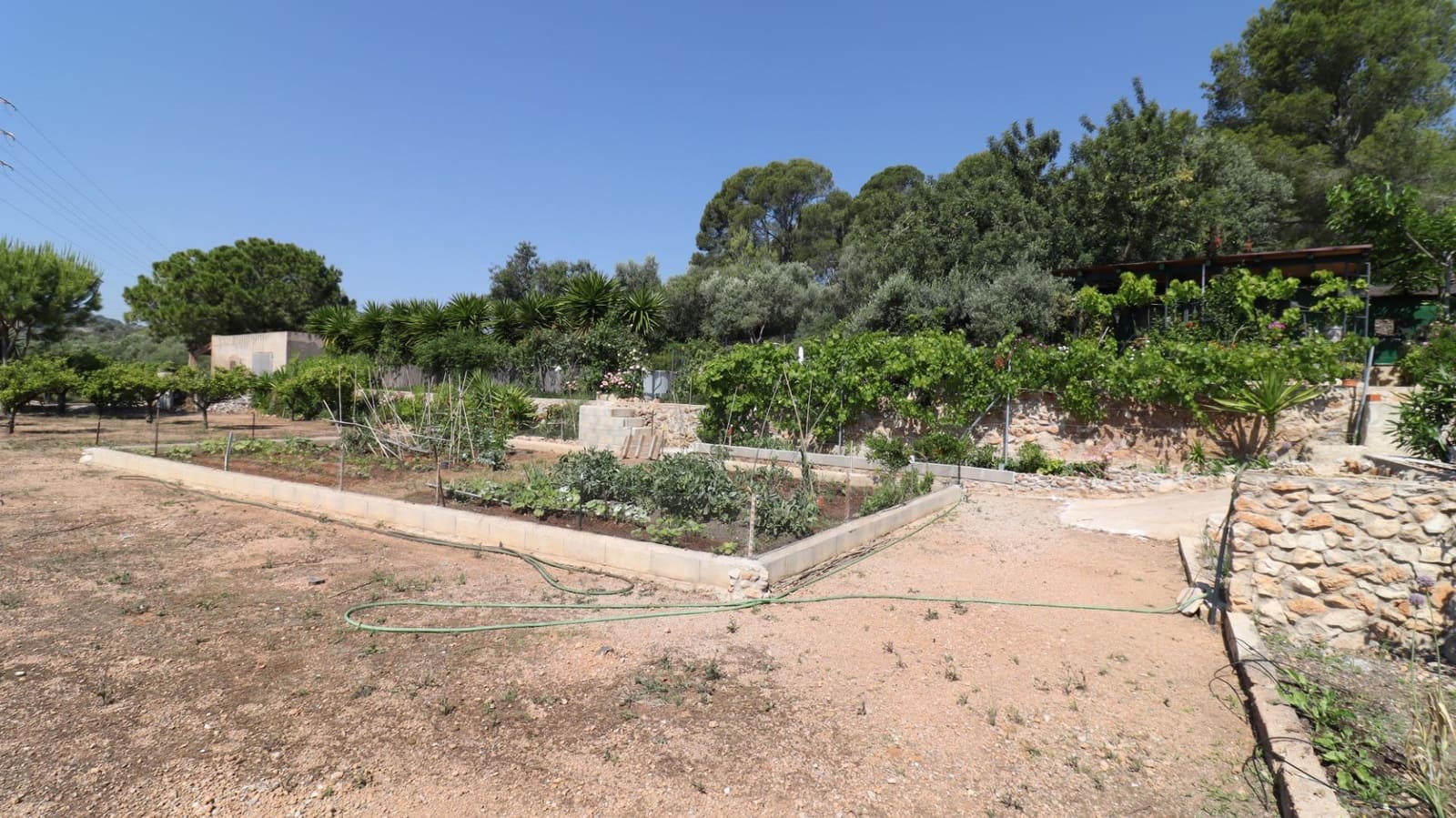 Grunde uden byggetilladelser til salg i Alcanar - € 70.000 (Ref: 9881945)