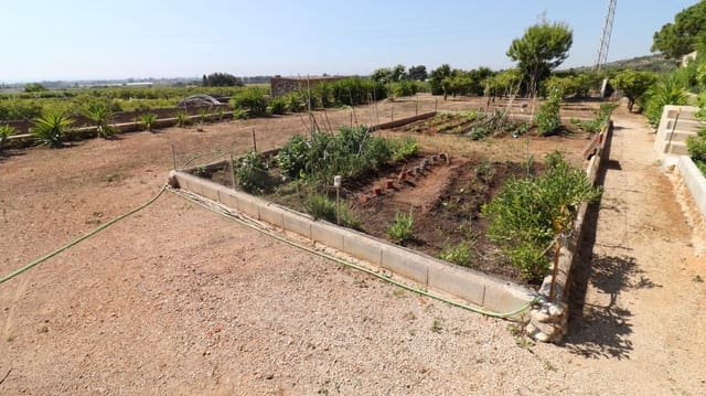 Grunde uden byggetilladelser til salg i Alcanar - € 70.000 (Ref: 9881945)