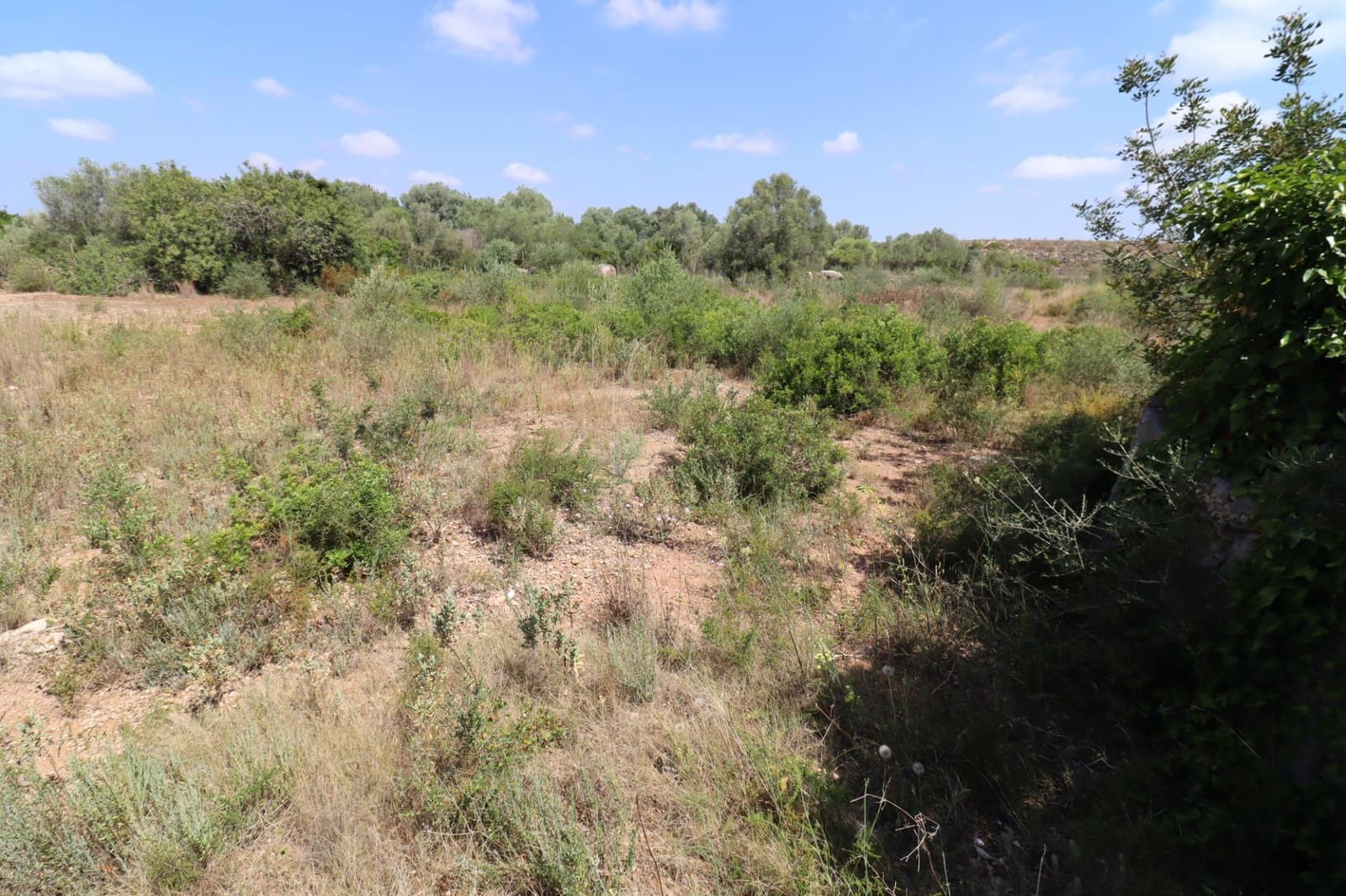 Landgrundstück zu verkaufen in Sant Jordi - 40.000 € (Ref: 9927407)