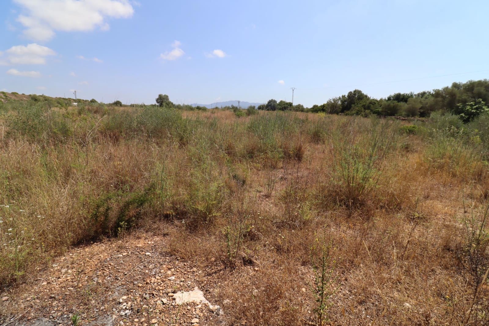 Landgrundstück zu verkaufen in Sant Jordi - 40.000 € (Ref: 9927407)
