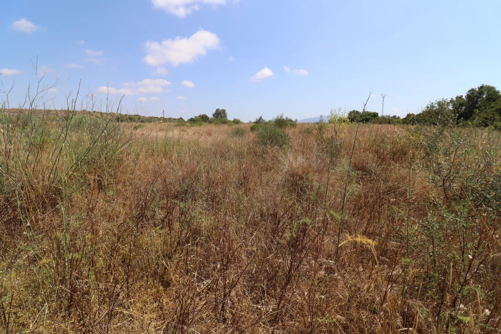 Landgrundstück zu verkaufen in Sant Jordi - 40.000 € (Ref: 9927407)