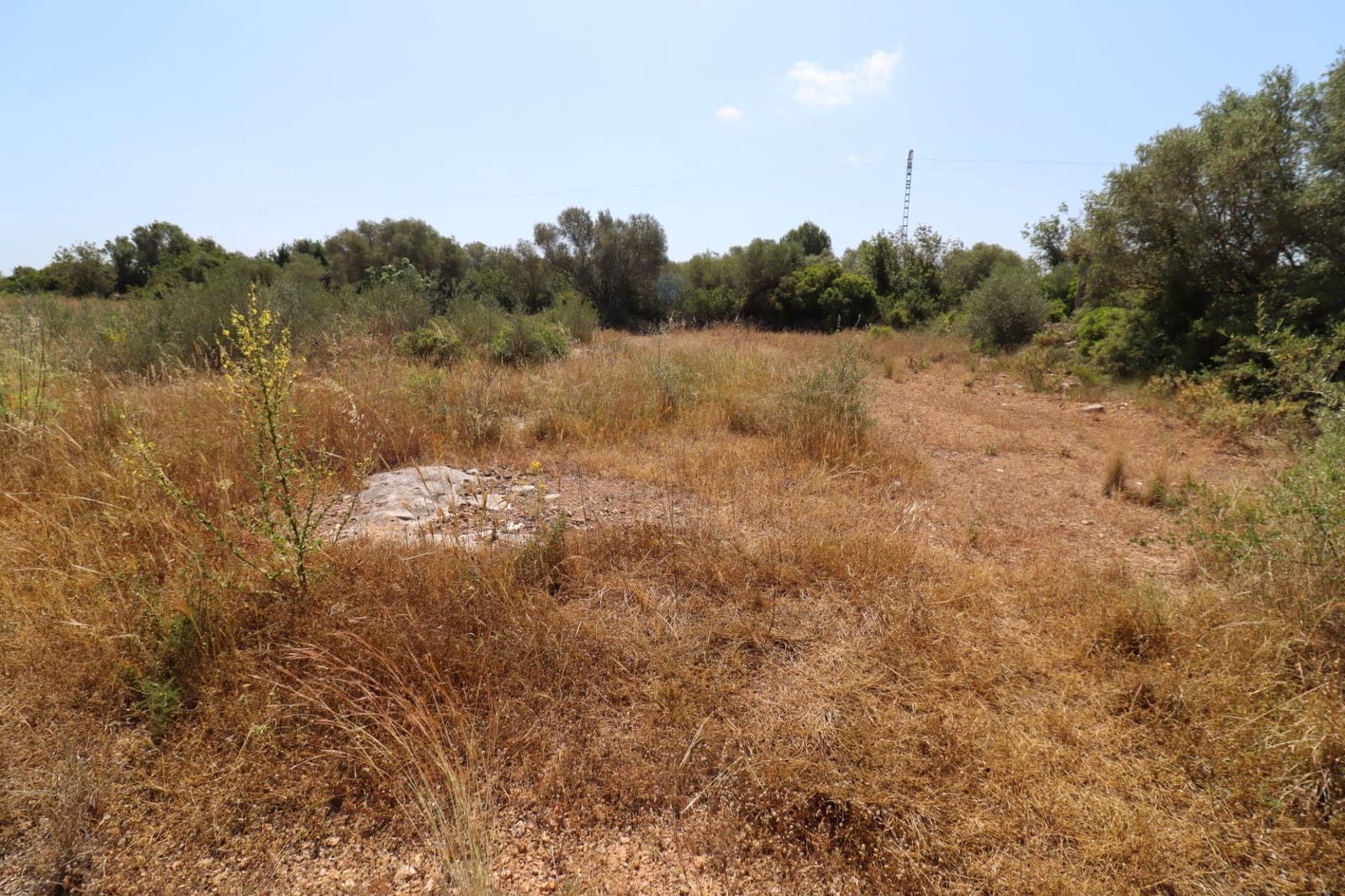 Landgrundstück zu verkaufen in Sant Jordi - 40.000 € (Ref: 9927407)