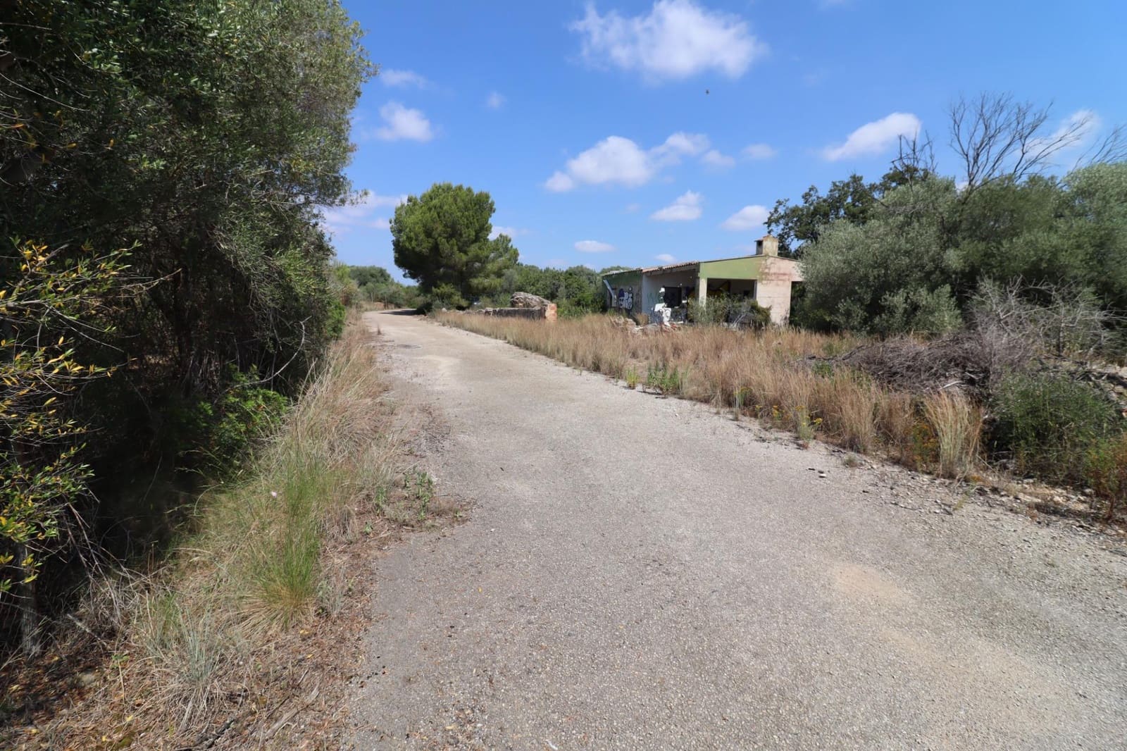 Landgrundstück zu verkaufen in Sant Jordi - 40.000 € (Ref: 9927407)