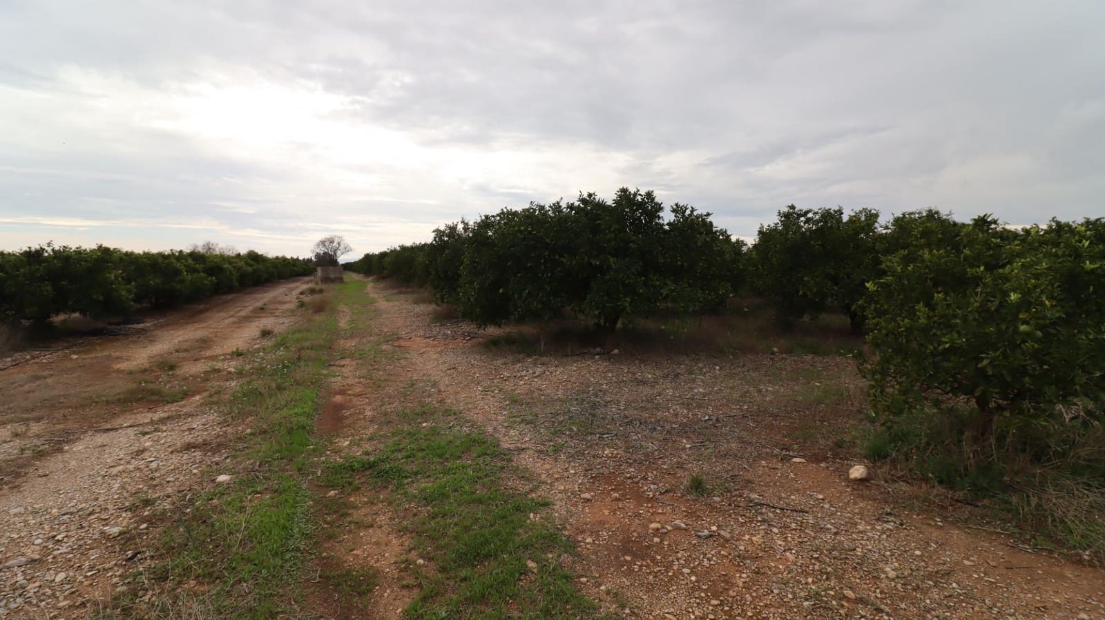 Grond te koop in Vinaros - € 50.000 (Ref: 9947919)
