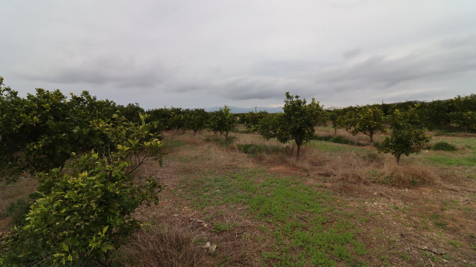 Grond te koop in Vinaros - € 50.000 (Ref: 9947919)