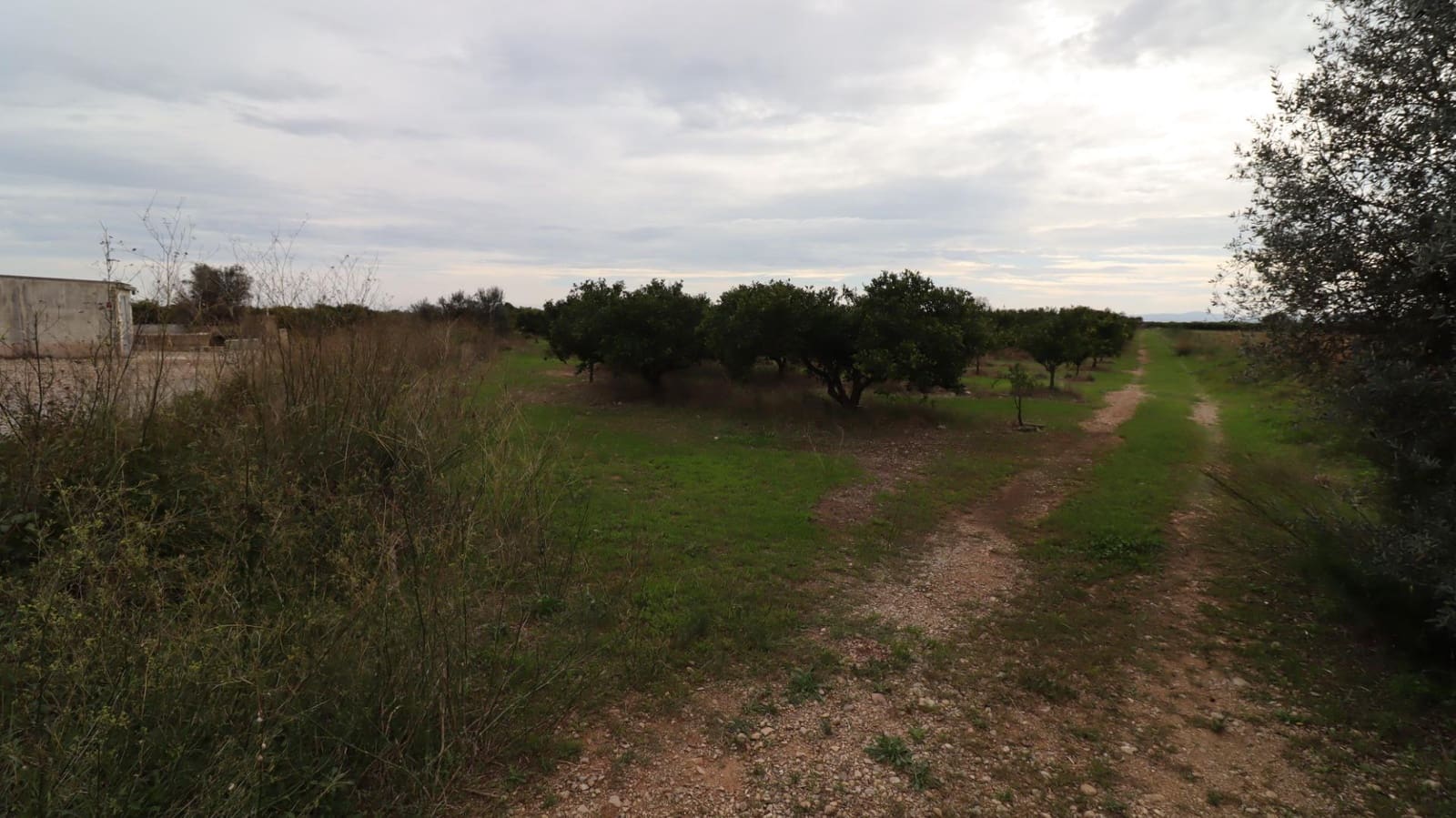 Grond te koop in Vinaros - € 50.000 (Ref: 9947919)