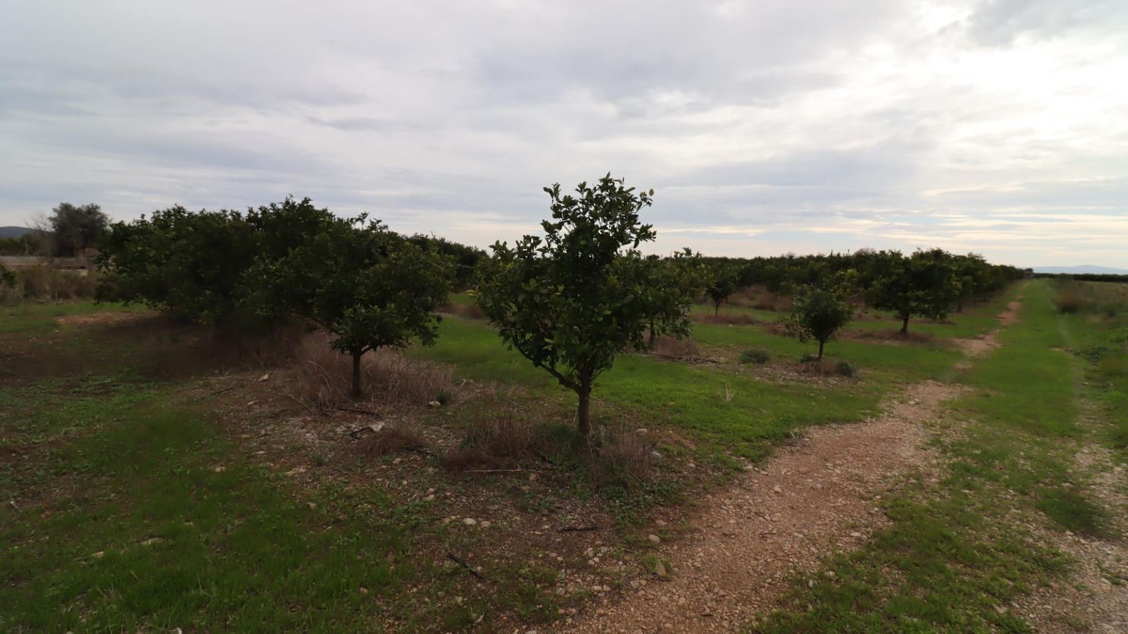 Grond te koop in Vinaros - € 50.000 (Ref: 9947919)