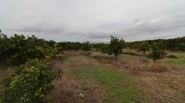 Ubebygd land til salgs i Vinaròs - € 50 000 (Ref: 9947919)