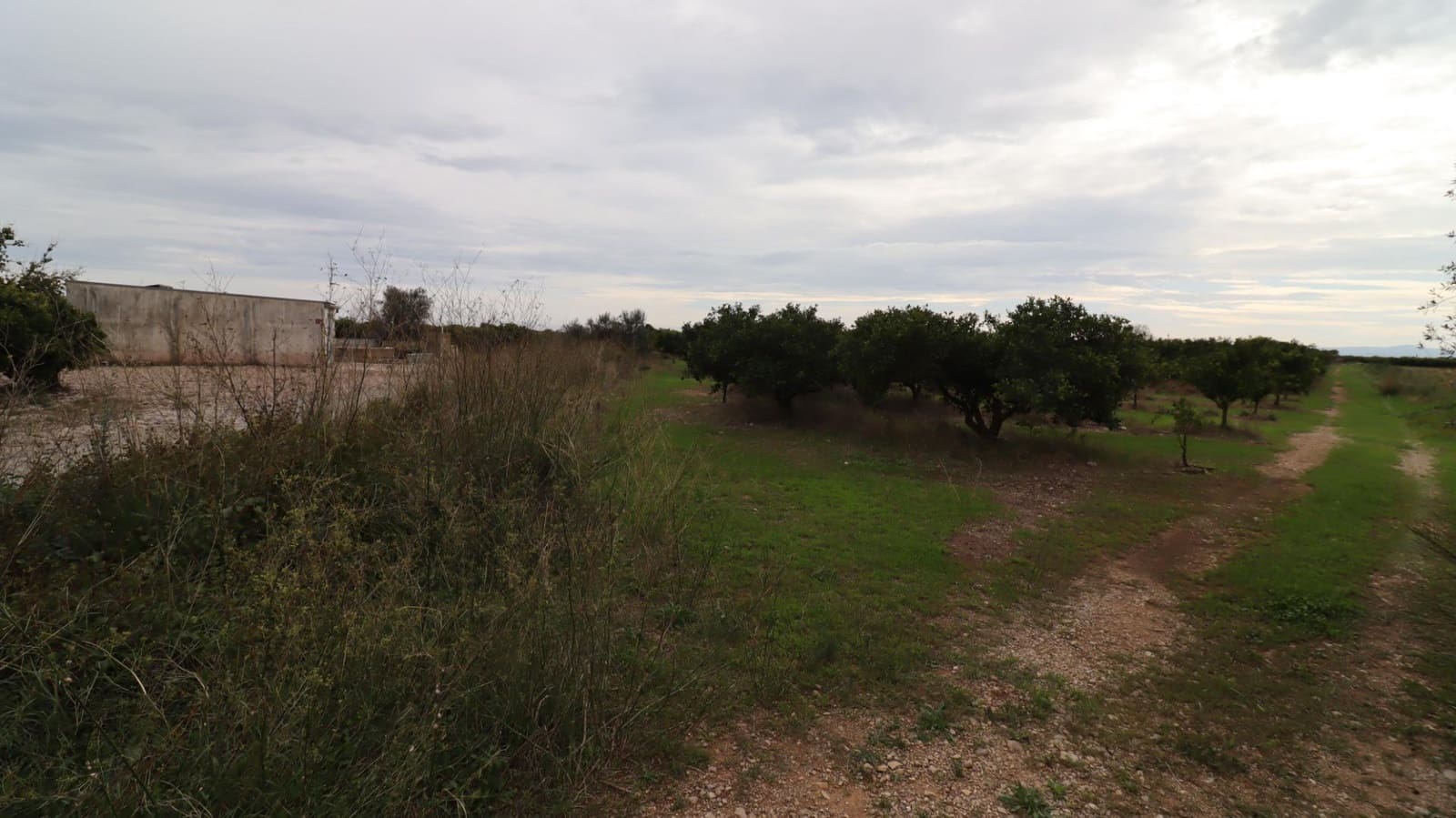Grond te koop in Vinaros - € 50.000 (Ref: 9947919)