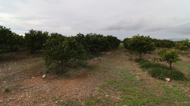 Ubebygd land til salgs i Vinaròs - € 50 000 (Ref: 9947919)