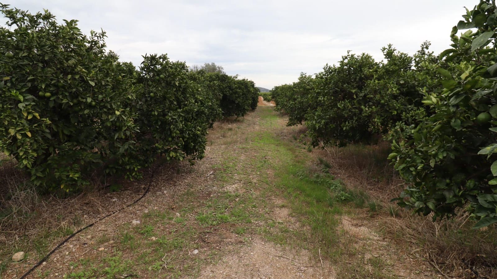 Grond te koop in Vinaros - € 50.000 (Ref: 9947919)