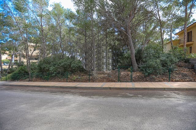 Grunde uden byggetilladelser til salg i Sol de Mallorca, Calvià - € 1.050.000 (Ref: 7093632)
