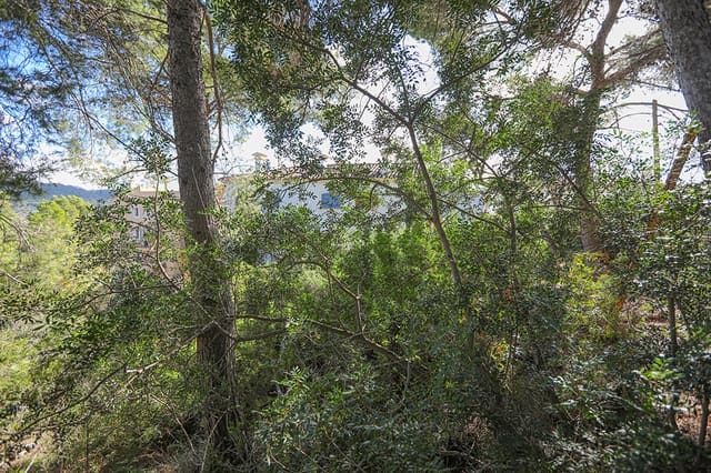 Grunde uden byggetilladelser til salg i Puerto de Andratx, Andratx - € 1.500.000 (Ref: 7323168)