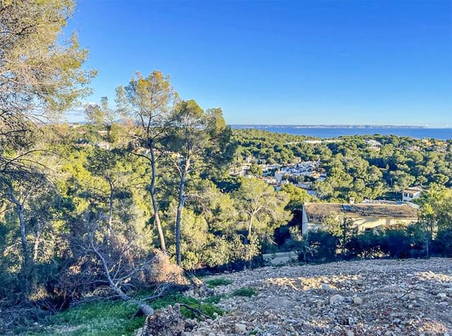 Undeveloped Land for sale in Portals Nous, Calvià - € 6,500,000 (Ref: 7329264)