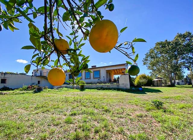3 soveværelse Finca/Landehus til salg i Sencelles - € 840.000 (Ref: 7829128)