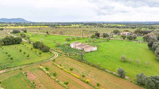 Grunde uden byggetilladelser til salg i Binissalem - € 1.700.000 (Ref: 9131232)
