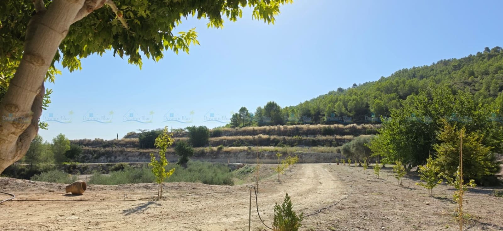 3 sovrum Villa till salu i Aielo de Malferit med garage - 320 000 € (Ref: 10057704)