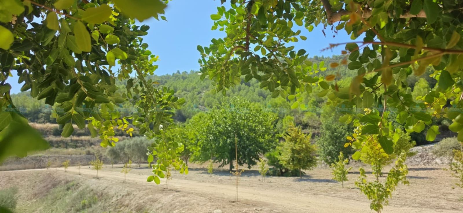 3 sovrum Villa till salu i Aielo de Malferit med garage - 320 000 € (Ref: 10057704)