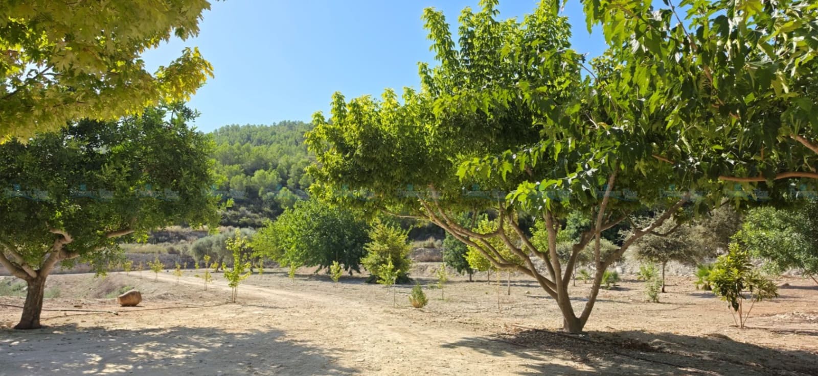 3 sovrum Villa till salu i Aielo de Malferit med garage - 320 000 € (Ref: 10057704)