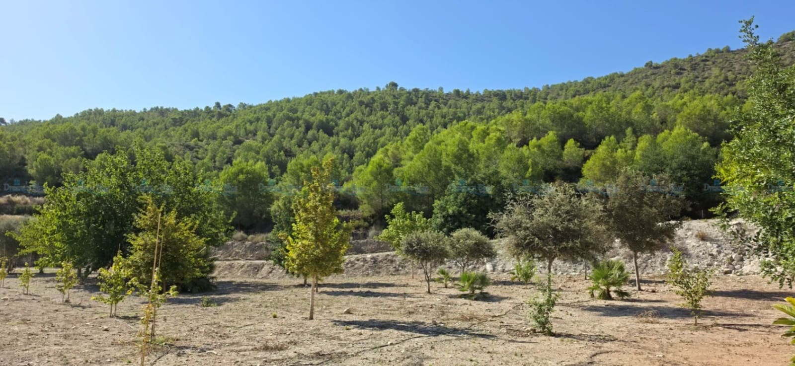 3 sovrum Villa till salu i Aielo de Malferit med garage - 320 000 € (Ref: 10057704)