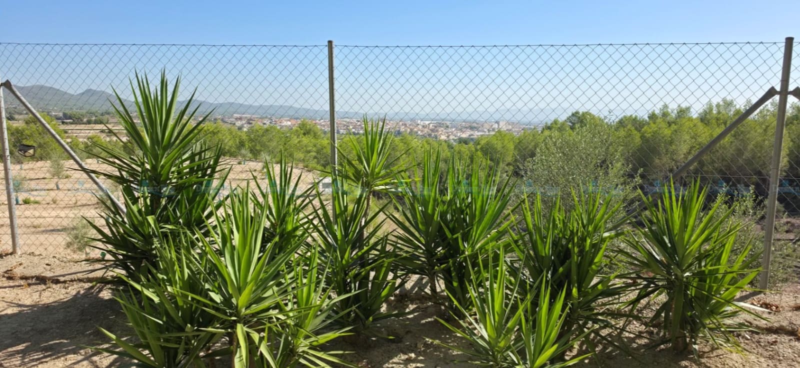 3 sovrum Villa till salu i Aielo de Malferit med garage - 320 000 € (Ref: 10057704)