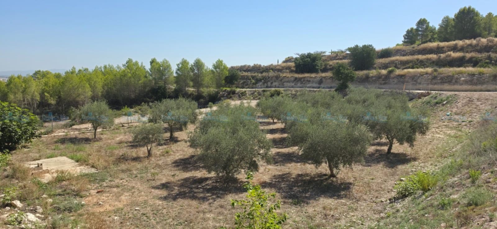 3 sovrum Villa till salu i Aielo de Malferit med garage - 320 000 € (Ref: 10057704)