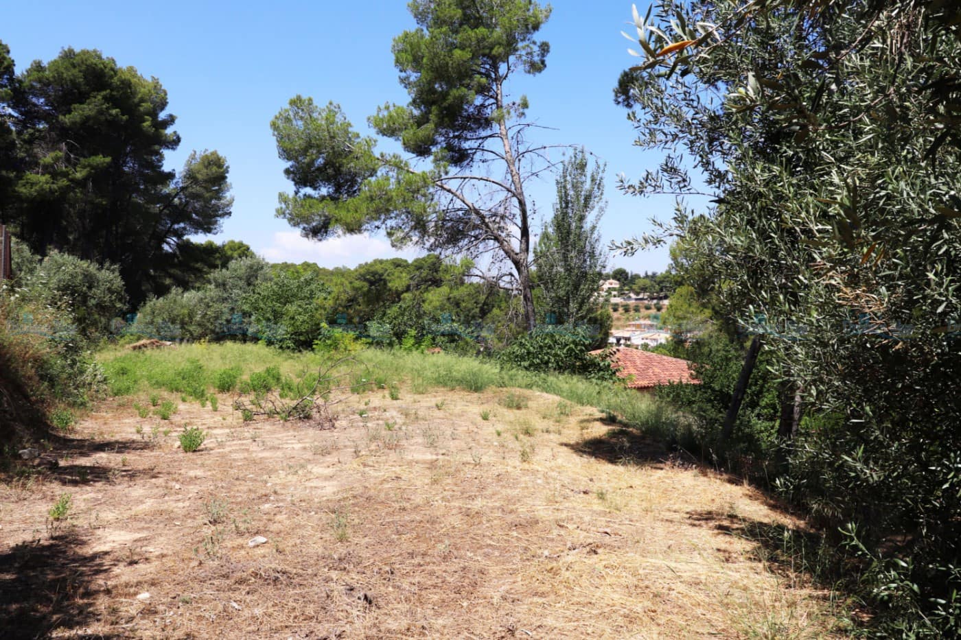 Tomt till salu i Agullent - 69 000 € (Ref: 4681991)