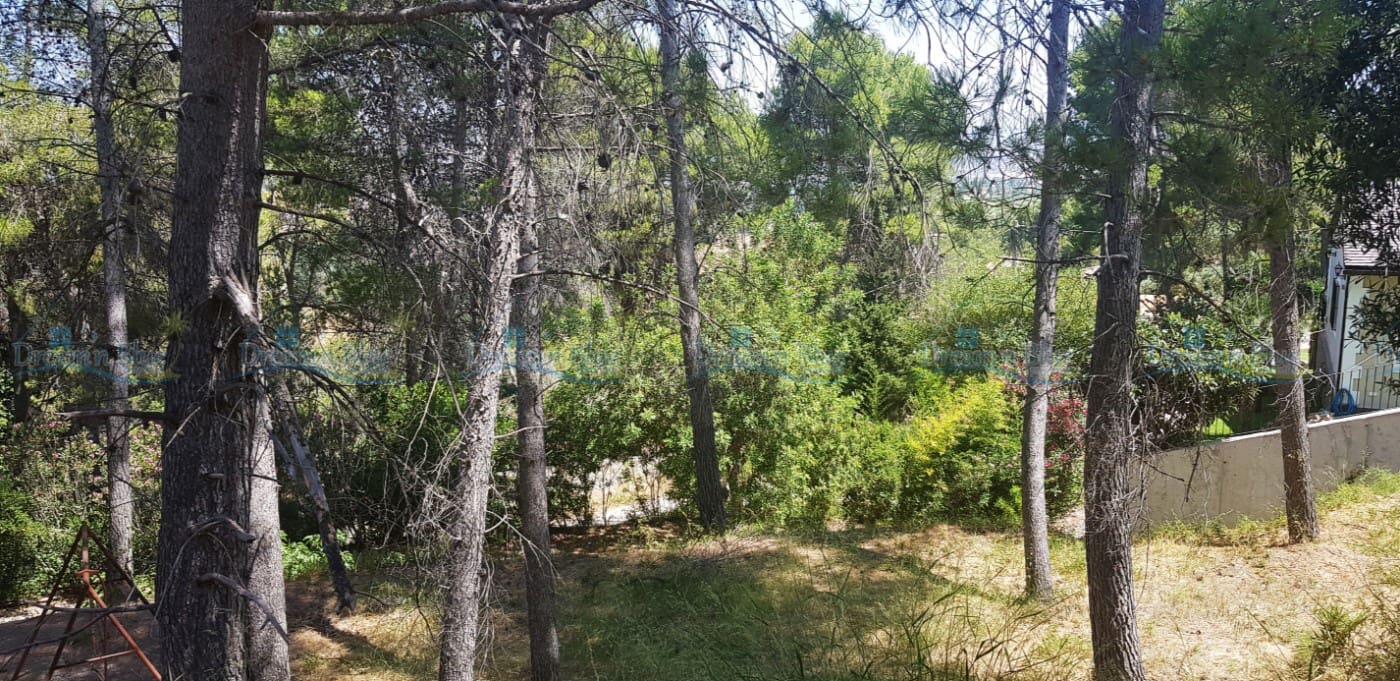 Tomt till salu i Agullent - 69 000 € (Ref: 4681991)