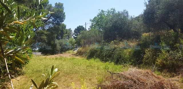 Building Plot for sale in Agullent - € 69,000 (Ref: 4681991)