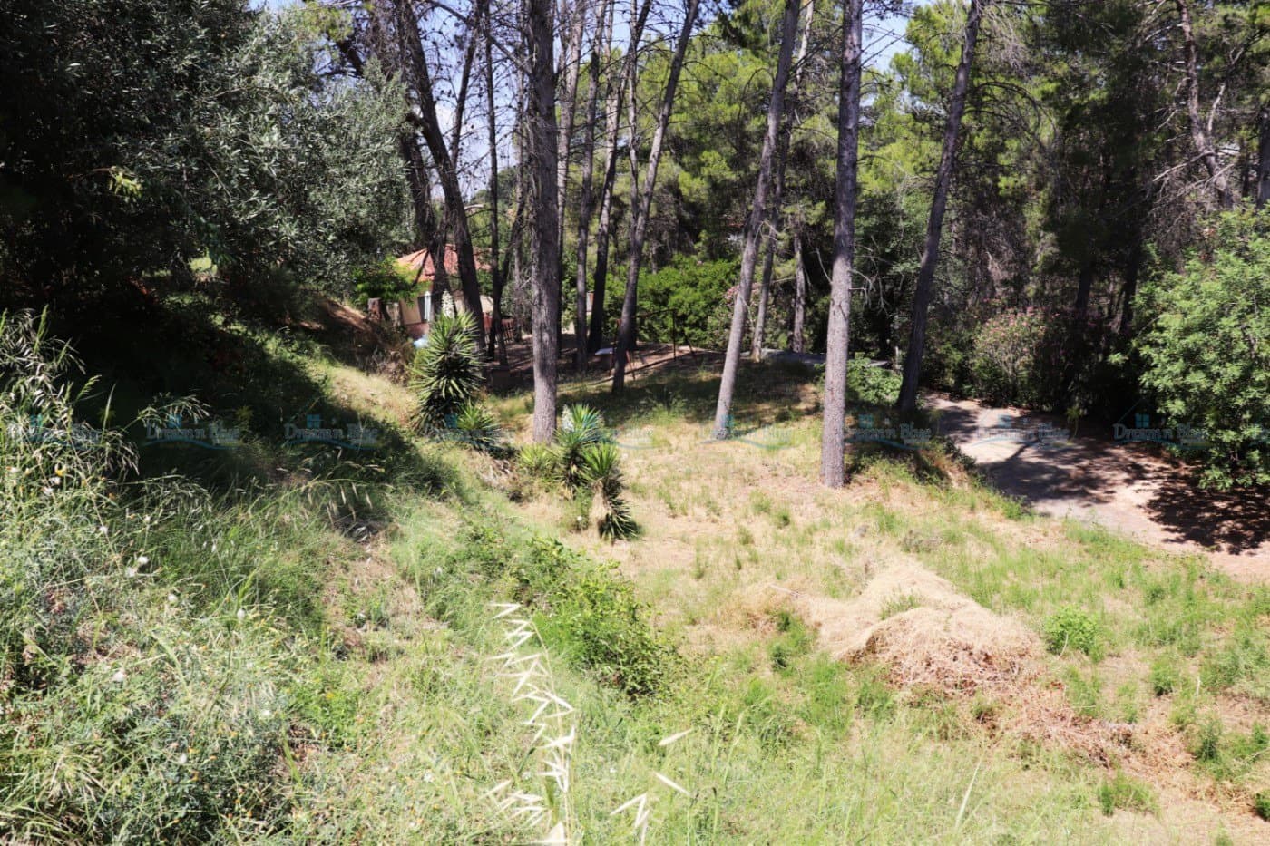 Tomt till salu i Agullent - 69 000 € (Ref: 4681991)