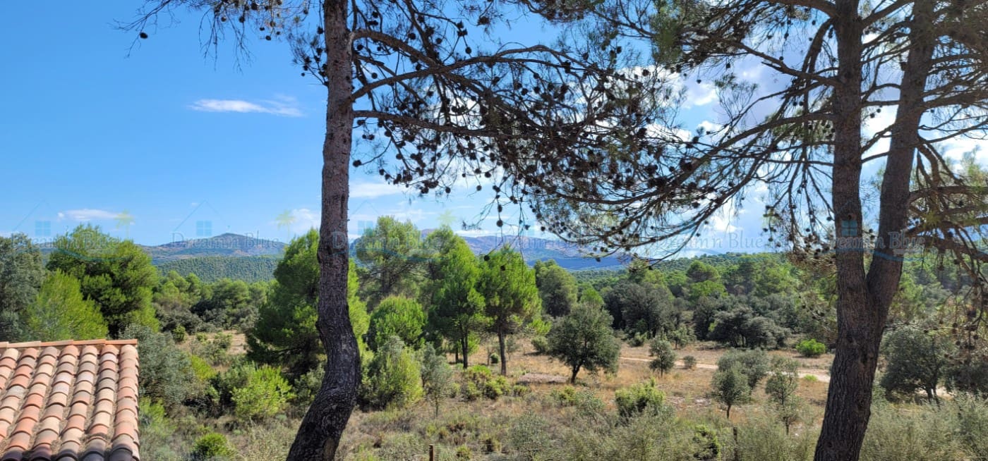 4 soveværelse Villa til salg i Bocairent - € 165.000 (Ref: 7185994)