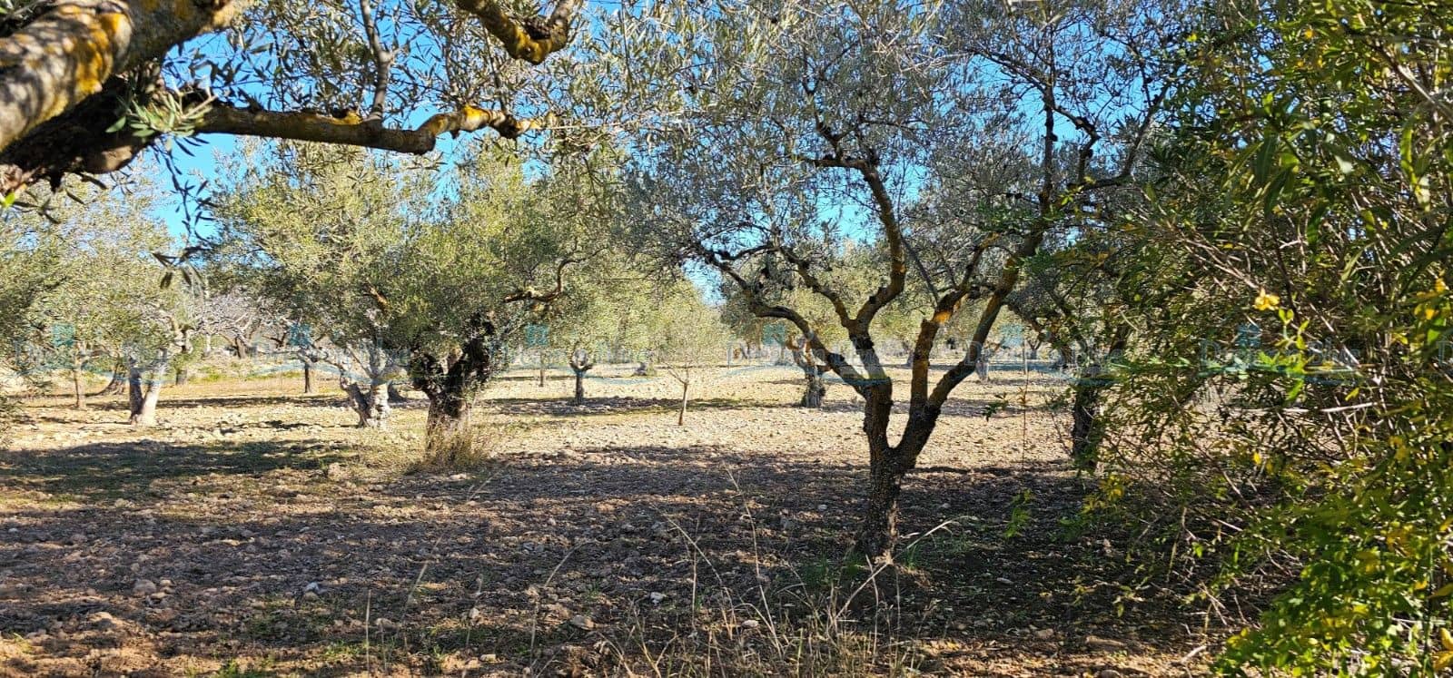 5 soveværelse Villa til salg i Alcoy / Alcoi med swimmingpool garage - € 195.000 (Ref: 8776898)