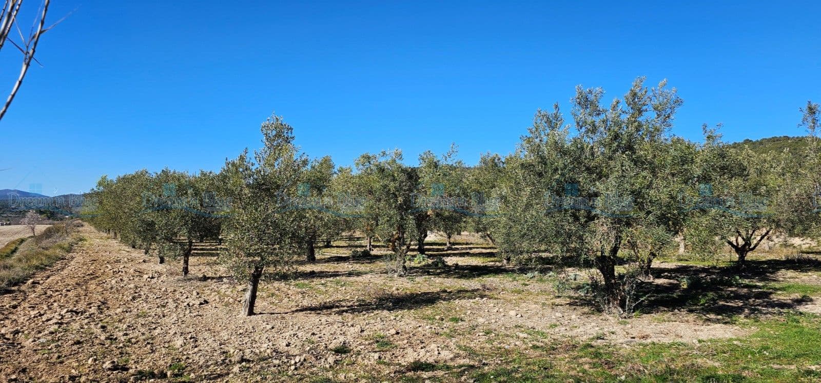 5 soveværelse Villa til salg i Alcoy / Alcoi med swimmingpool garage - € 195.000 (Ref: 8776898)