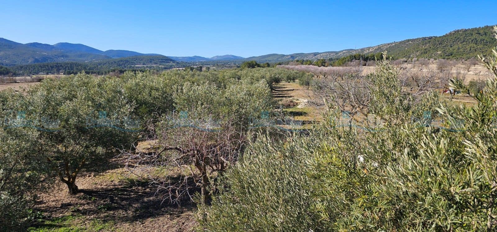 5 soveværelse Villa til salg i Alcoy / Alcoi med swimmingpool garage - € 195.000 (Ref: 8776898)