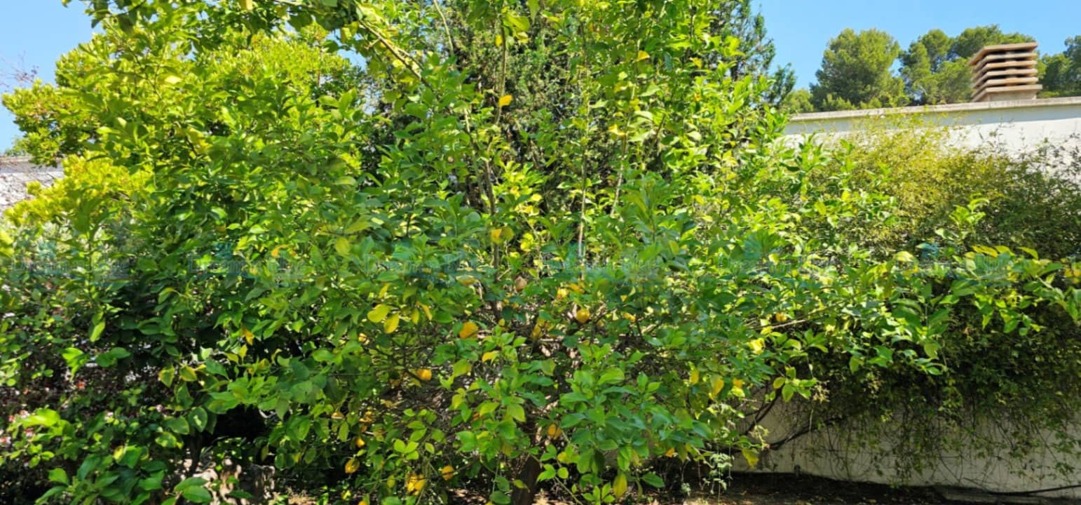 5 soveværelse Villa til salg i Ontinyent med garage - € 490.000 (Ref: 9104172)