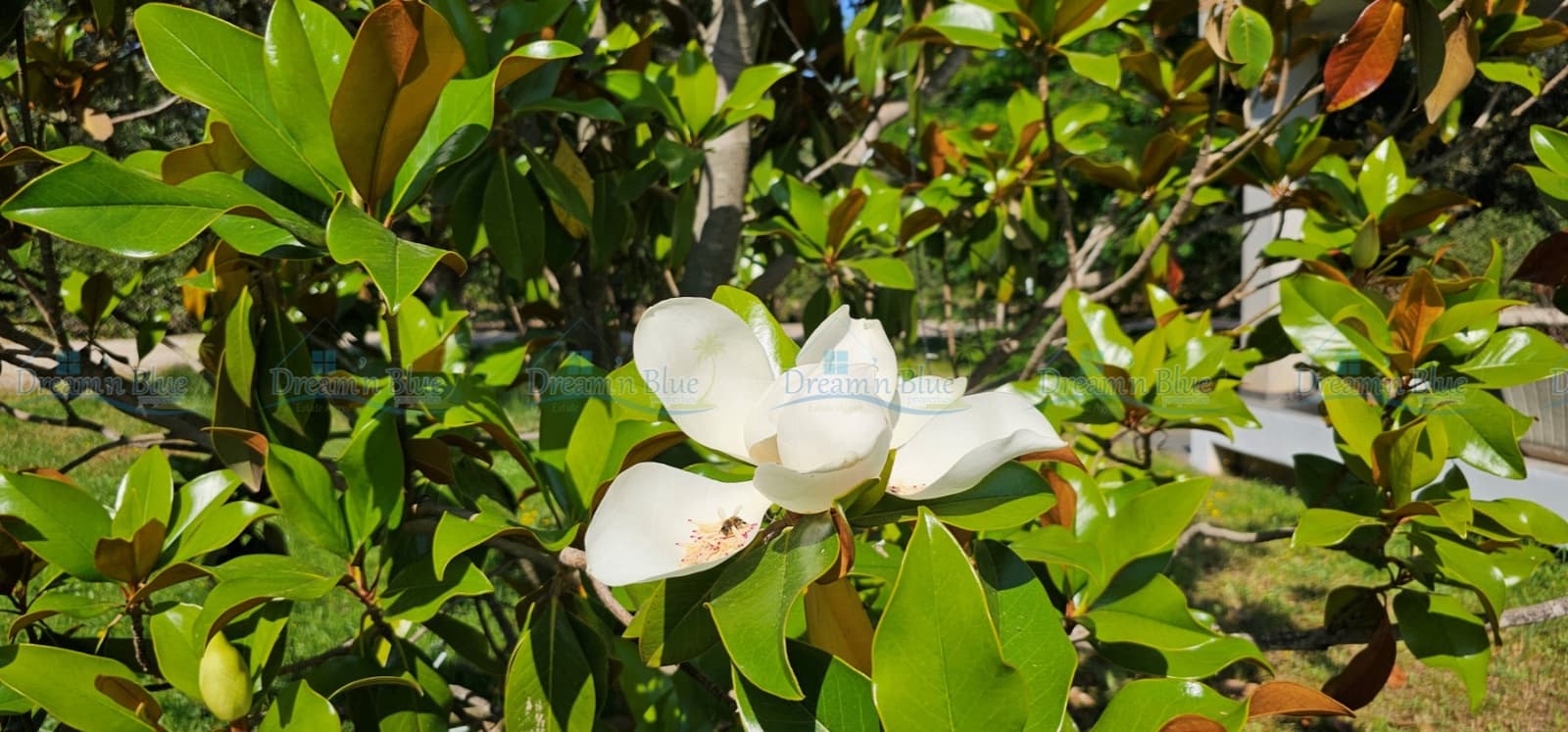 5 soveværelse Villa til salg i Ontinyent med garage - € 490.000 (Ref: 9104172)