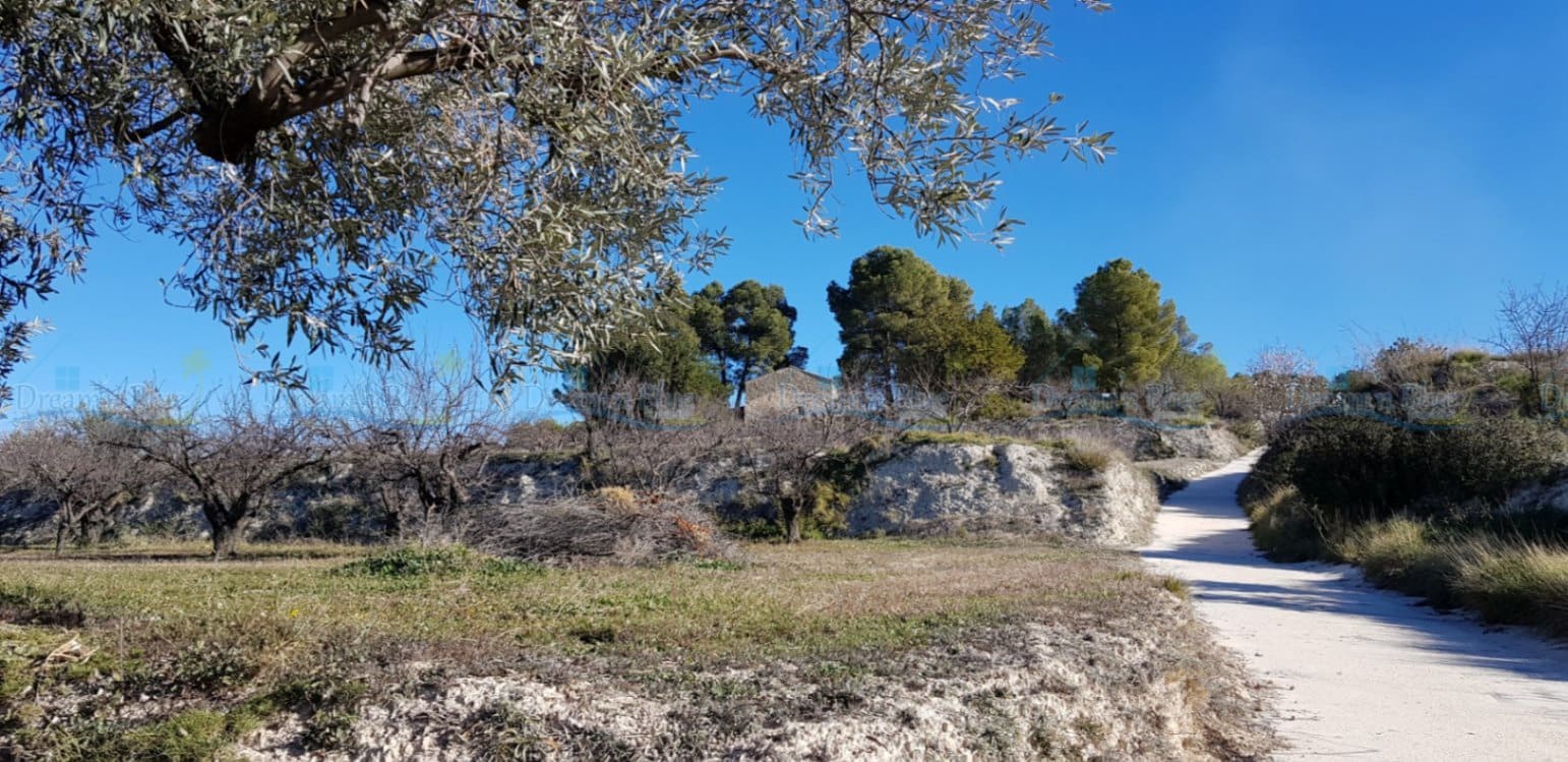 Undeveloped Land for sale in Agullent - € 65,000 (Ref: 9503609)