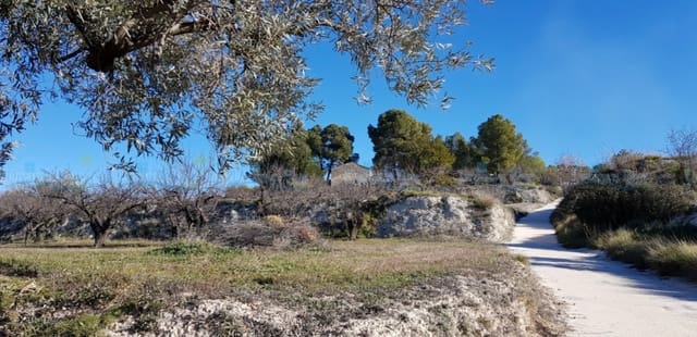 Undeveloped Land for sale in Agullent - € 65,000 (Ref: 9503609)