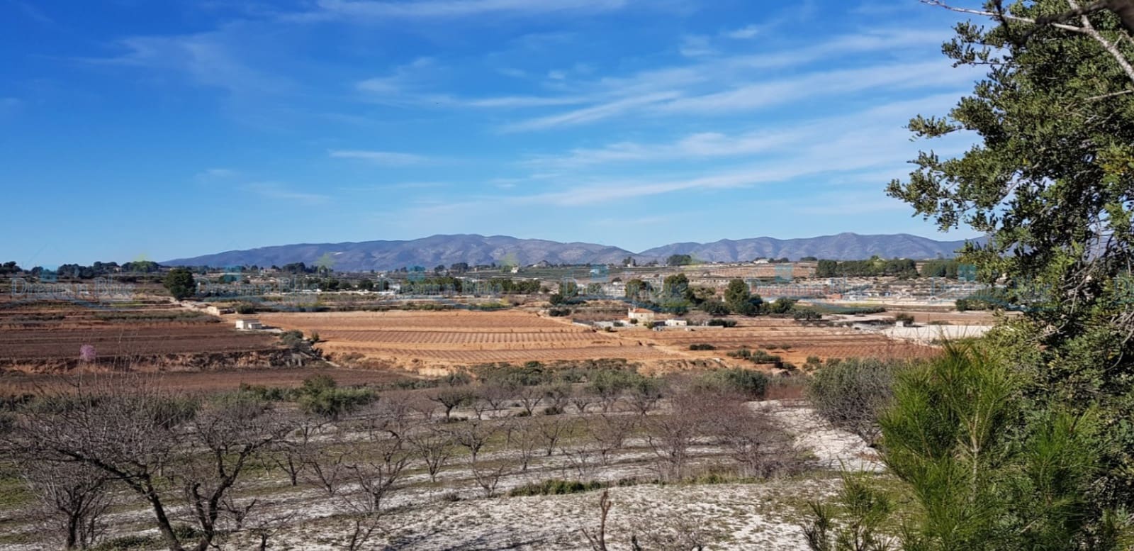 Undeveloped Land for sale in Agullent - € 65,000 (Ref: 9503609)