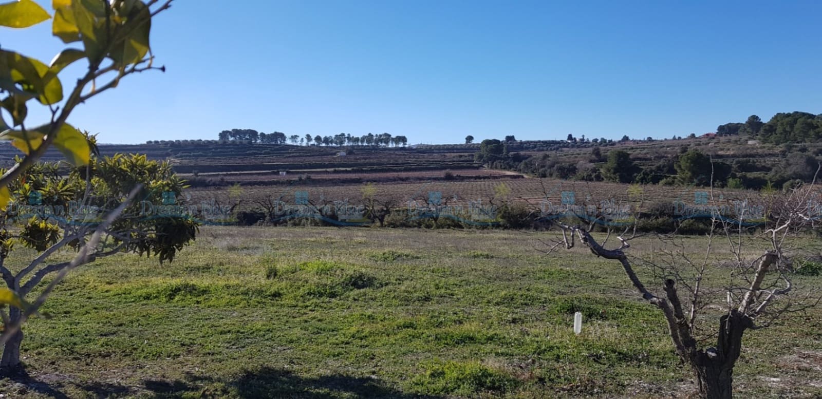 Undeveloped Land for sale in Agullent - € 65,000 (Ref: 9503609)