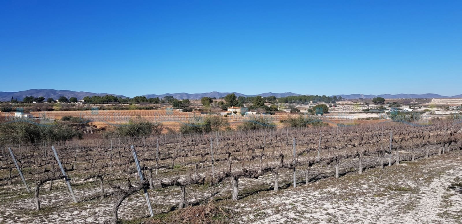 Undeveloped Land for sale in Agullent - € 65,000 (Ref: 9503609)