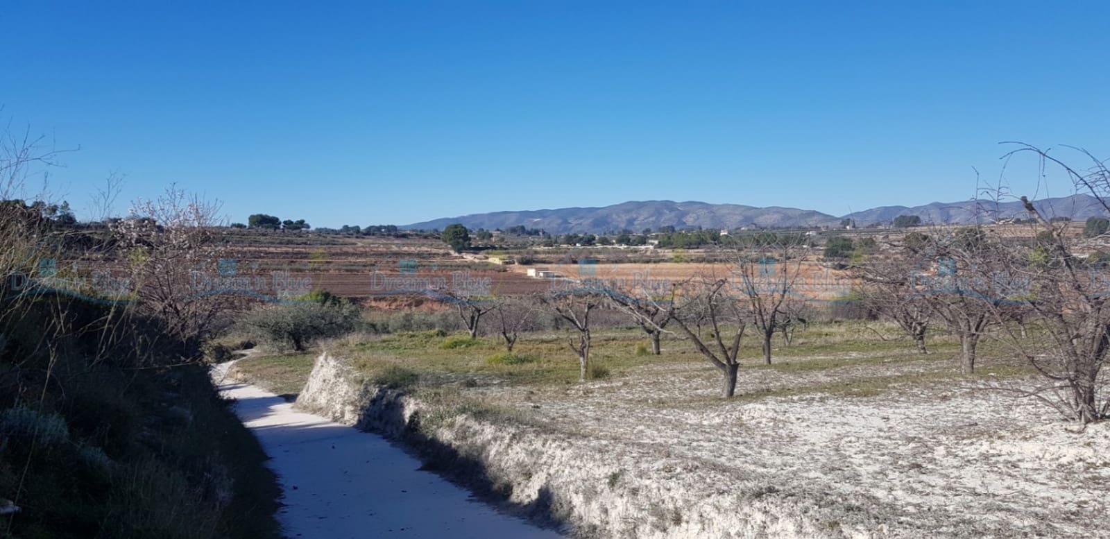 Undeveloped Land for sale in Agullent - € 65,000 (Ref: 9503609)