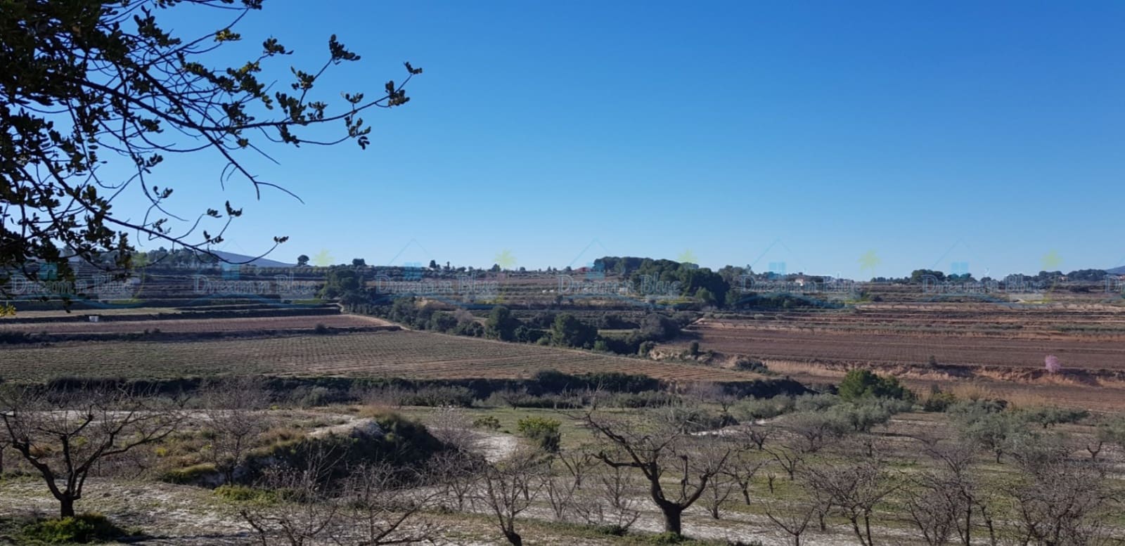 Undeveloped Land for sale in Agullent - € 65,000 (Ref: 9503609)