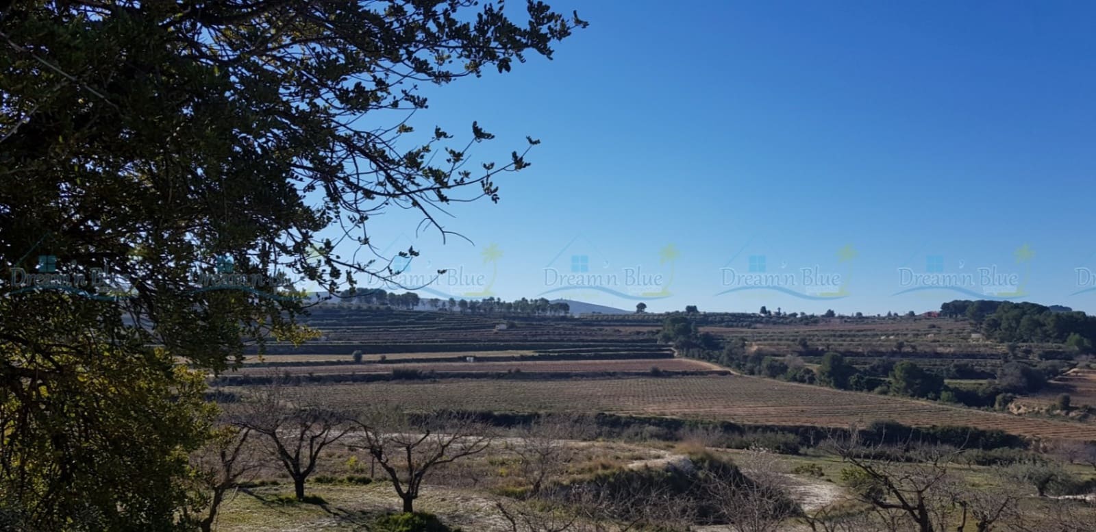 Undeveloped Land for sale in Agullent - € 65,000 (Ref: 9503609)