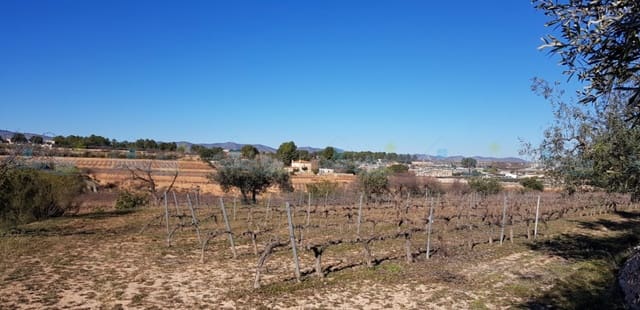 Undeveloped Land for sale in Agullent - € 65,000 (Ref: 9503609)