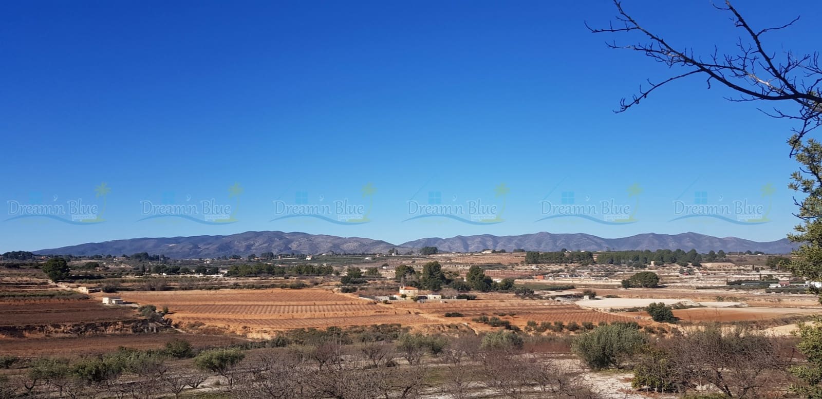 Undeveloped Land for sale in Agullent - € 65,000 (Ref: 9503609)